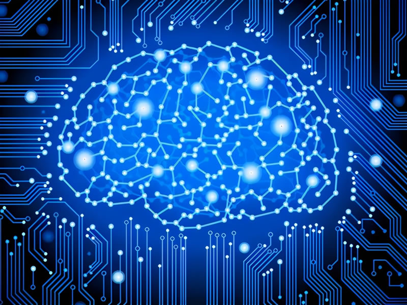 规模最大动物大脑模拟系统构建 包含近1000万个神经元、260亿个突触