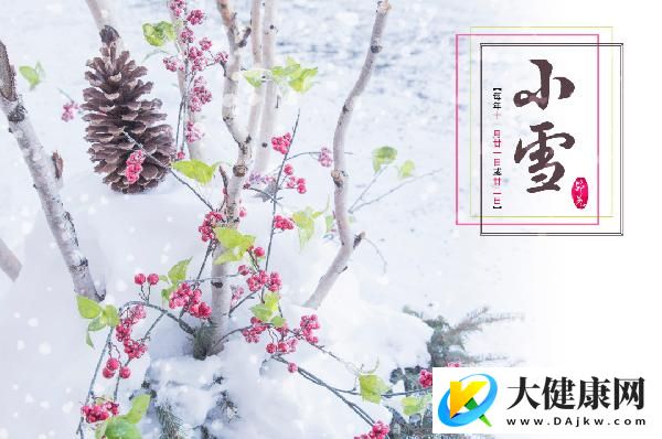 冬天5℃左右可以种香菜吗