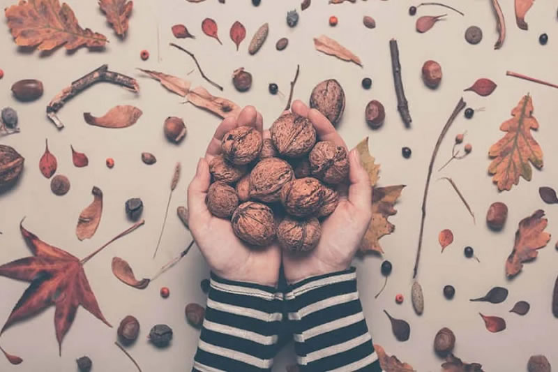 大健康网 大健康网