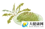 呵护小心肝 少不了这道苦菜